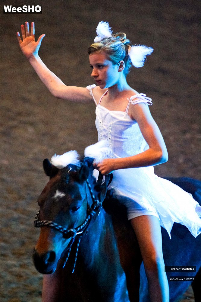 40/49 photos du spectacle Spectacle Equestre 2 Juniors