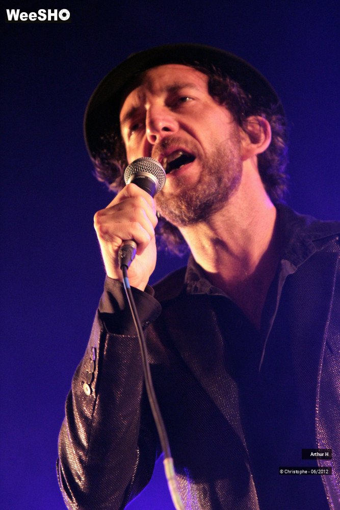 15/31 photos du spectacle Arthur H