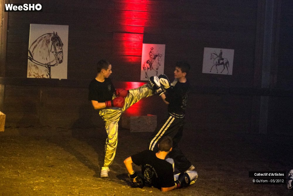 15/50 photos du spectacle Spectacle Equestre 2 Seniors