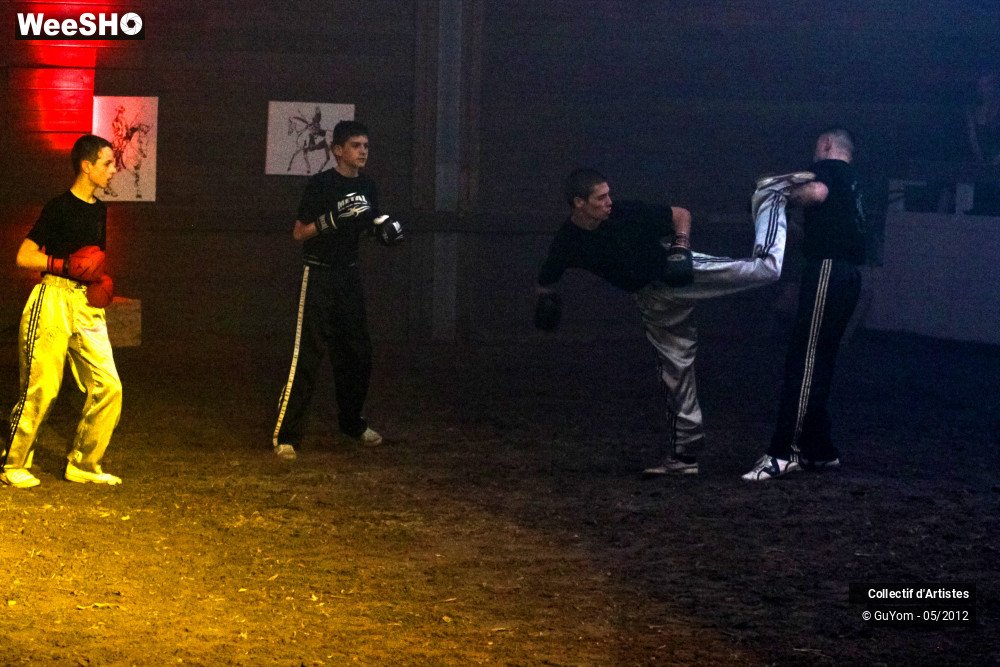 19/50 photos du spectacle Spectacle Equestre 2 Seniors