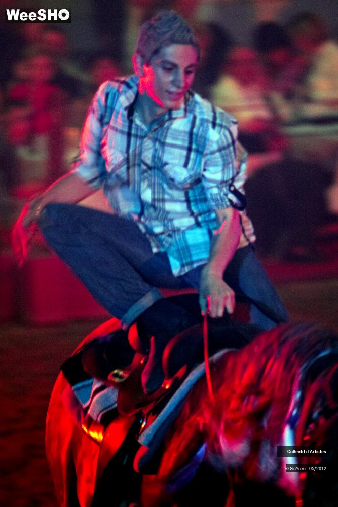 26/50 photos du spectacle Spectacle Equestre 2 Seniors