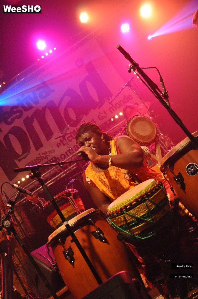 29/49 photos du spectacle Amadou Koné & Benkan