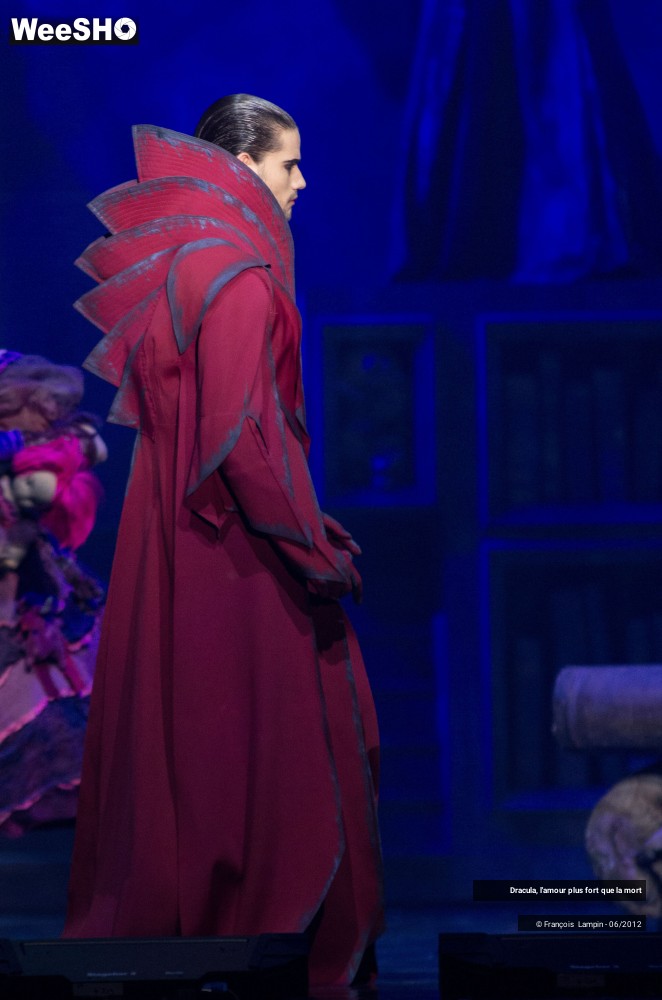 5/42 photos du spectacle Dracula, l'amour plus fort que la mort