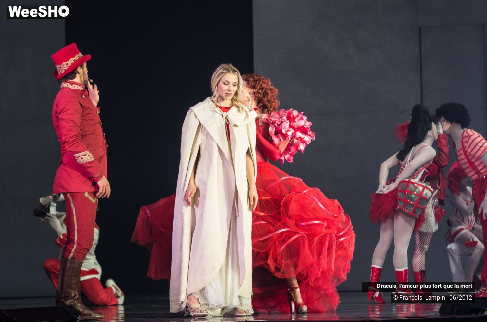 10/42 photos du spectacle Dracula, l'amour plus fort que la mort