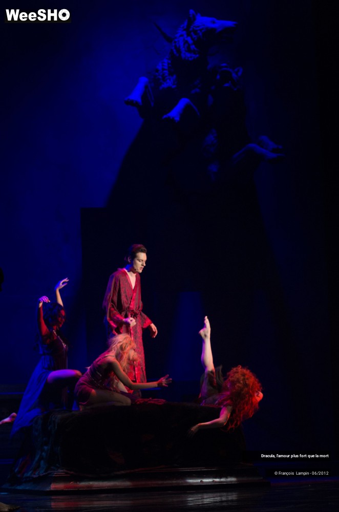 12/42 photos du spectacle Dracula, l'amour plus fort que la mort