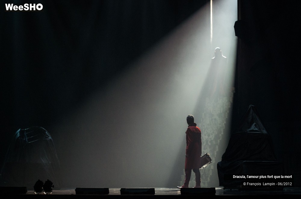 16/42 photos du spectacle Dracula, l'amour plus fort que la mort