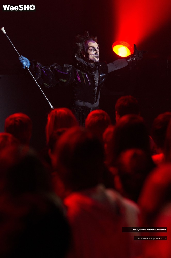 17/42 photos du spectacle Dracula, l'amour plus fort que la mort