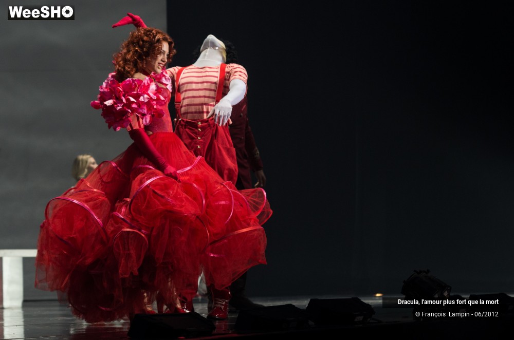 18/42 photos du spectacle Dracula, l'amour plus fort que la mort