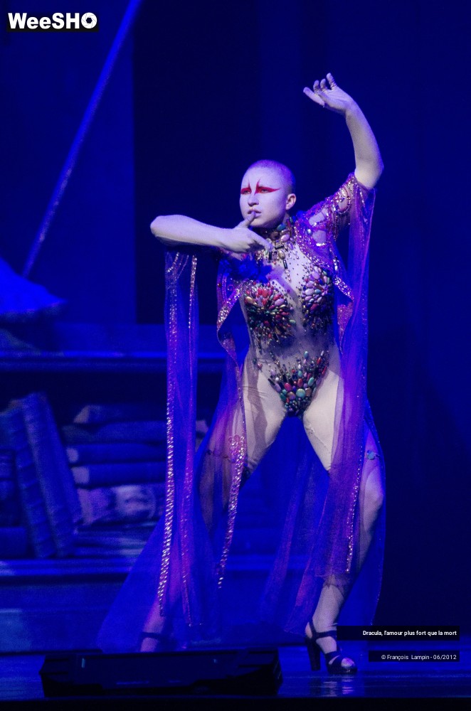 19/42 photos du spectacle Dracula, l'amour plus fort que la mort