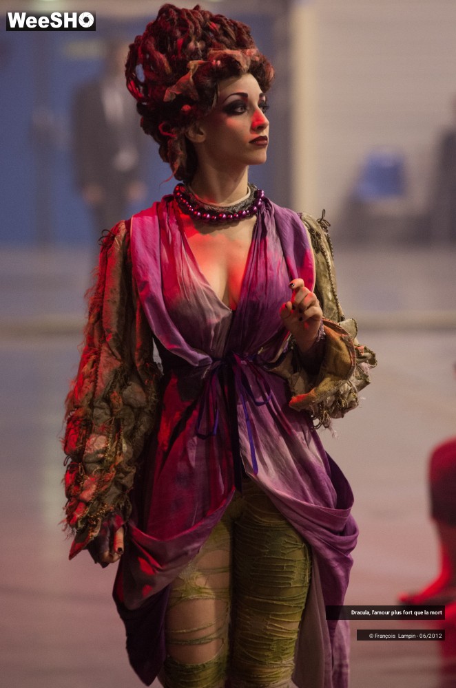24/42 photos du spectacle Dracula, l'amour plus fort que la mort