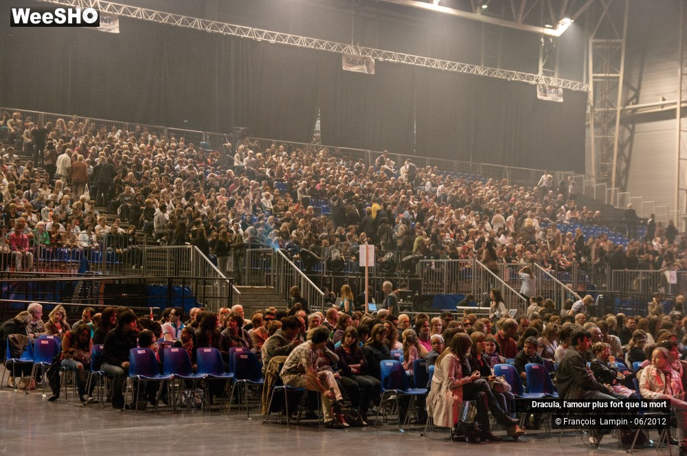 29/42 photos du spectacle Dracula, l'amour plus fort que la mort