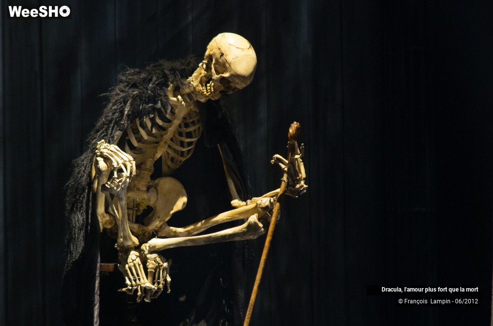 30/42 photos du spectacle Dracula, l'amour plus fort que la mort