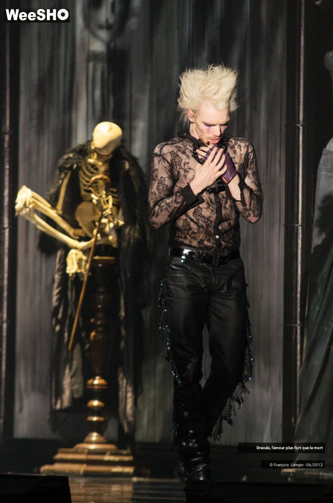 31/42 photos du spectacle Dracula, l'amour plus fort que la mort