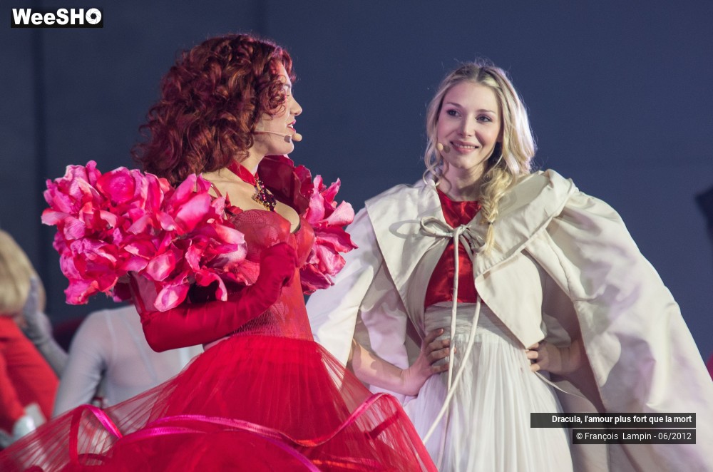 35/42 photos du spectacle Dracula, l'amour plus fort que la mort
