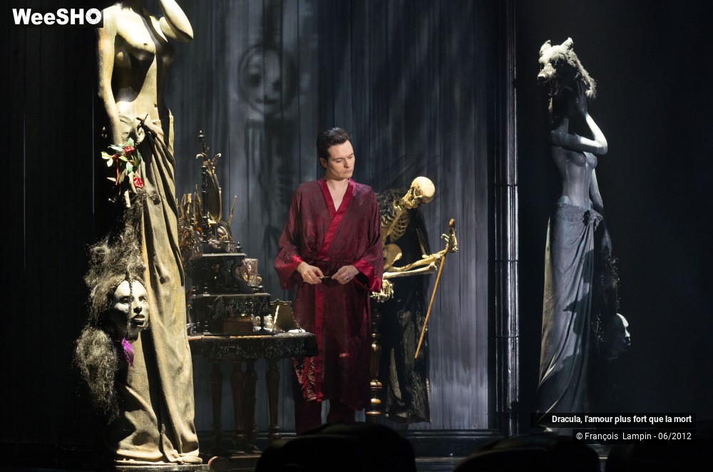 38/42 photos du spectacle Dracula, l'amour plus fort que la mort