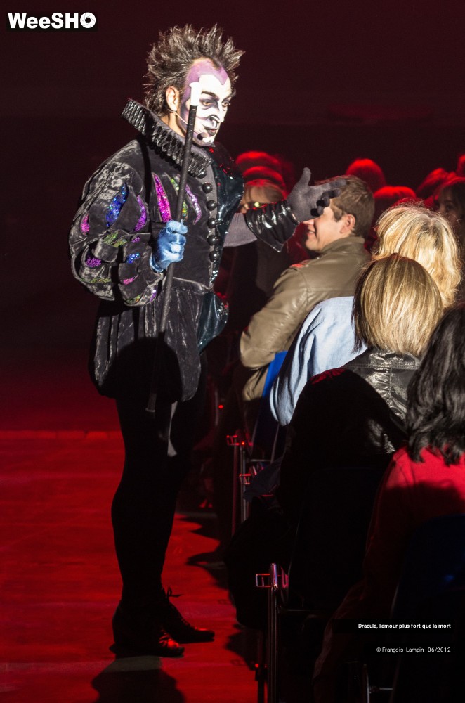 39/42 photos du spectacle Dracula, l'amour plus fort que la mort
