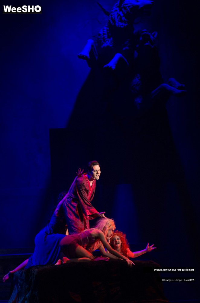 40/42 photos du spectacle Dracula, l'amour plus fort que la mort