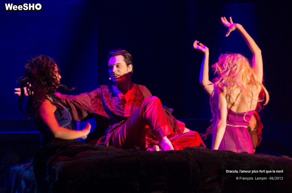 42/42 photos du spectacle Dracula, l'amour plus fort que la mort