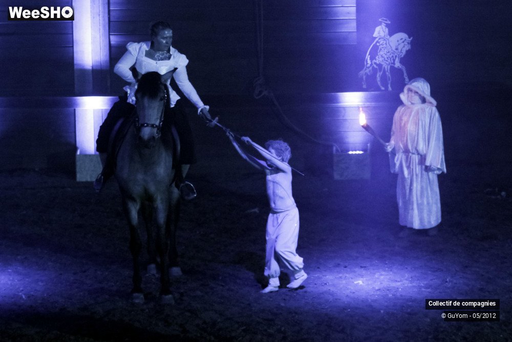 4/44 photos du spectacle Spectacle Equestre 2 Confirmés