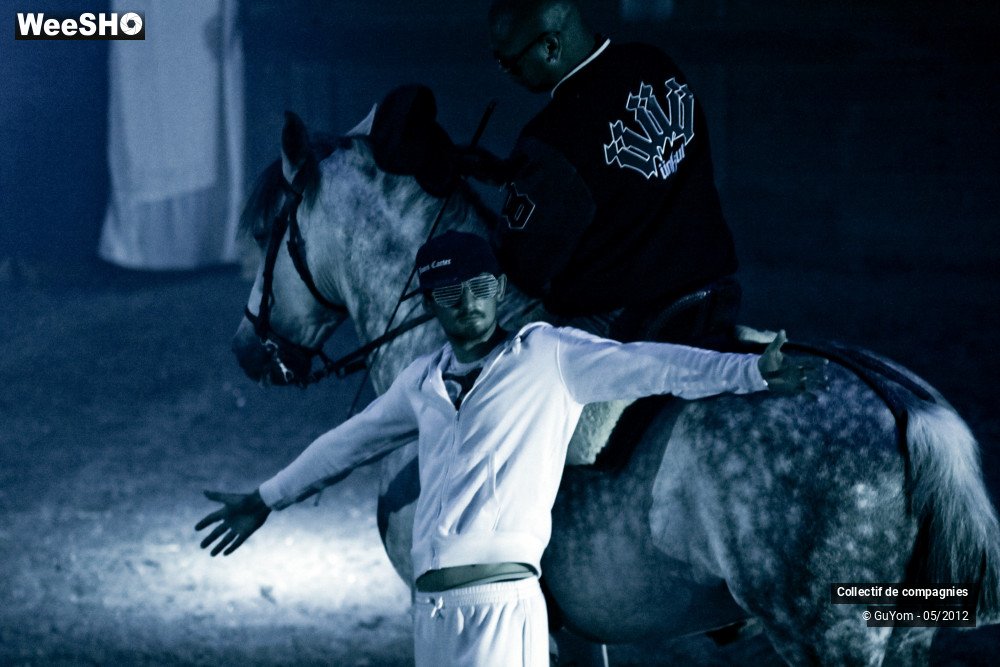 7/44 photos du spectacle Spectacle Equestre 2 Confirmés
