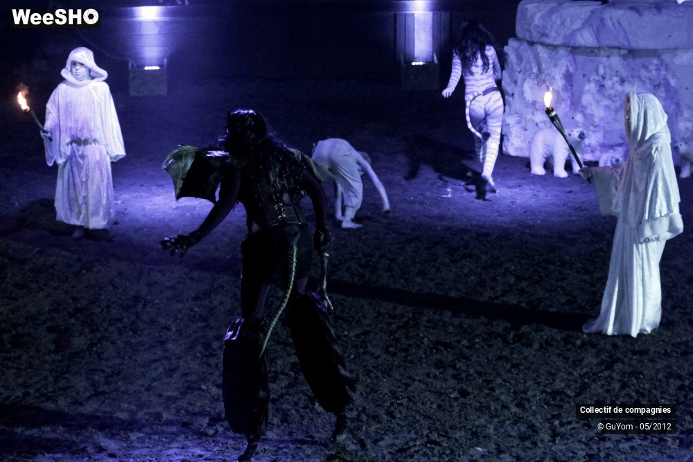 8/44 photos du spectacle Spectacle Equestre 2 Confirmés