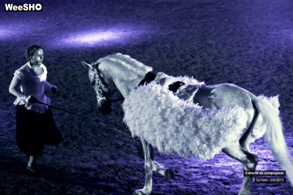 9/44 photos du spectacle Spectacle Equestre 2 Confirmés