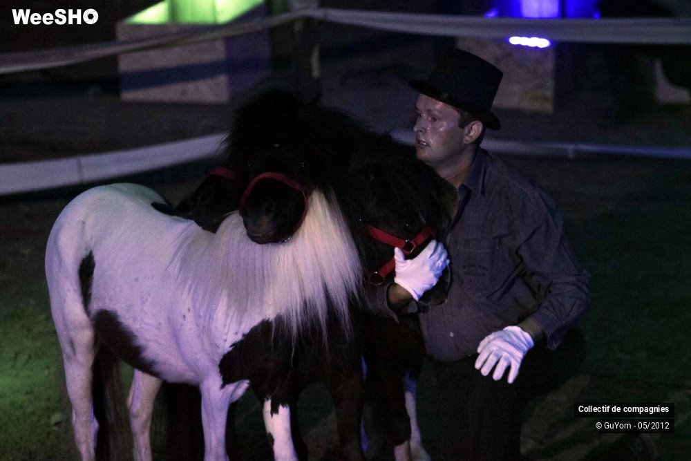10/44 photos du spectacle Spectacle Equestre 2 Confirmés