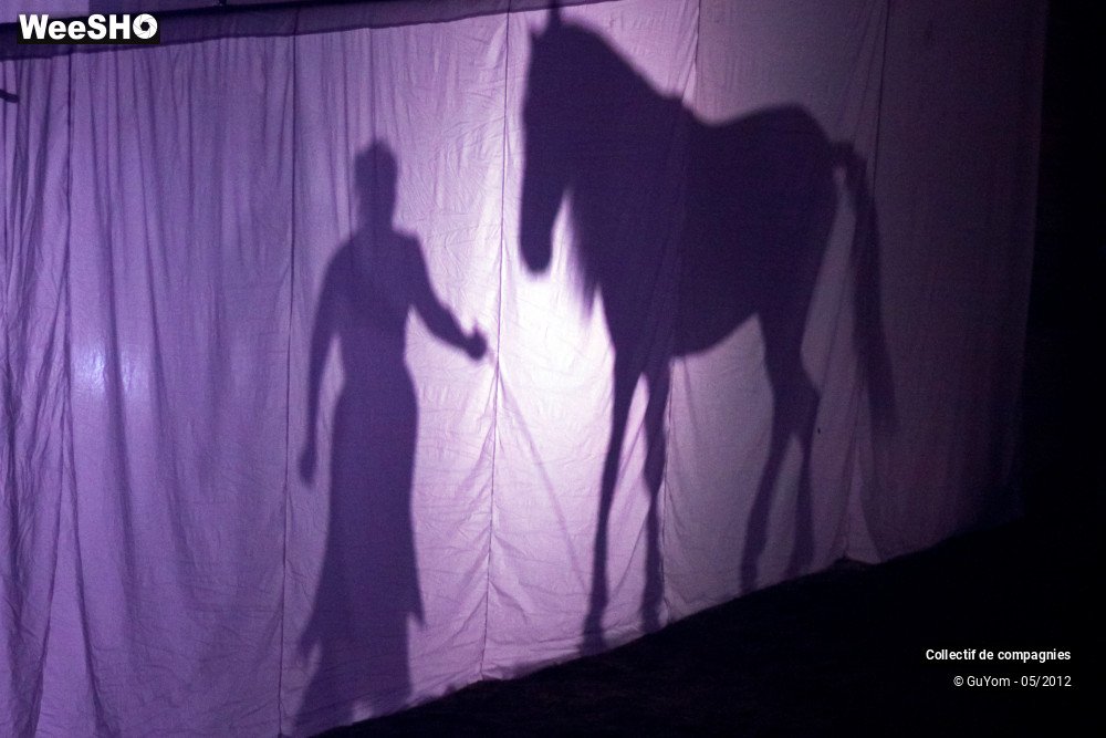 12/44 photos du spectacle Spectacle Equestre 2 Confirmés