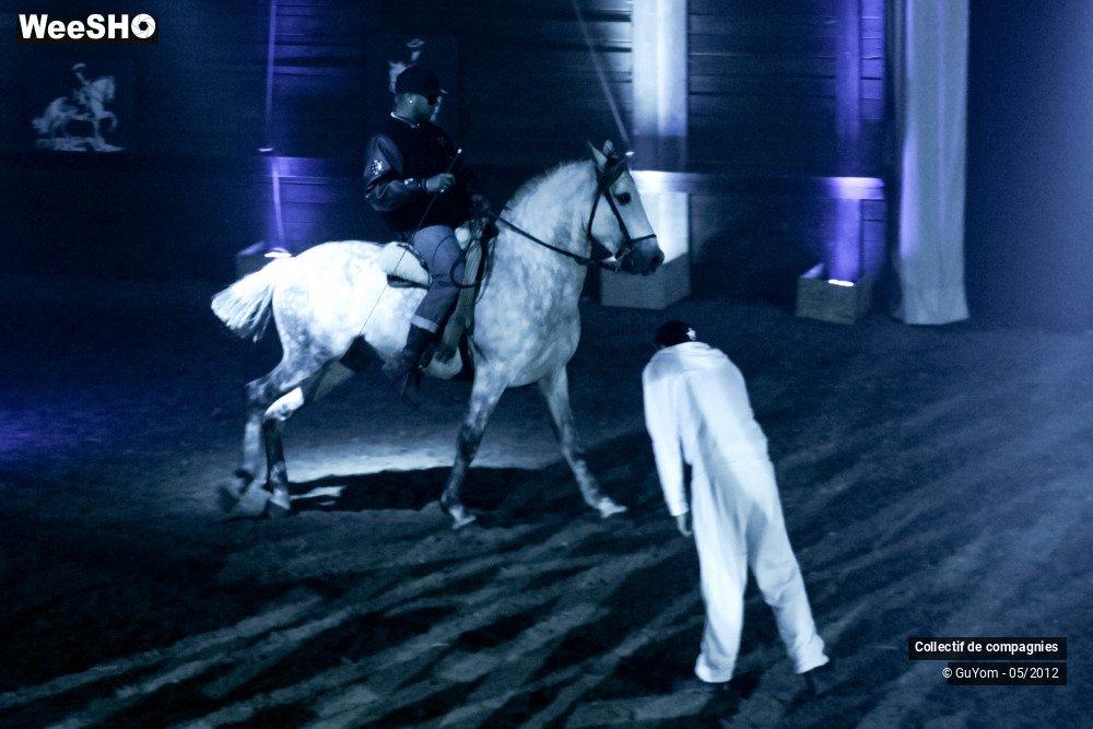 13/44 photos du spectacle Spectacle Equestre 2 Confirmés