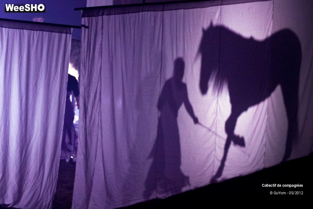 14/44 photos du spectacle Spectacle Equestre 2 Confirmés