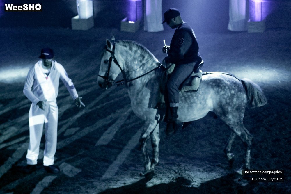 15/44 photos du spectacle Spectacle Equestre 2 Confirmés