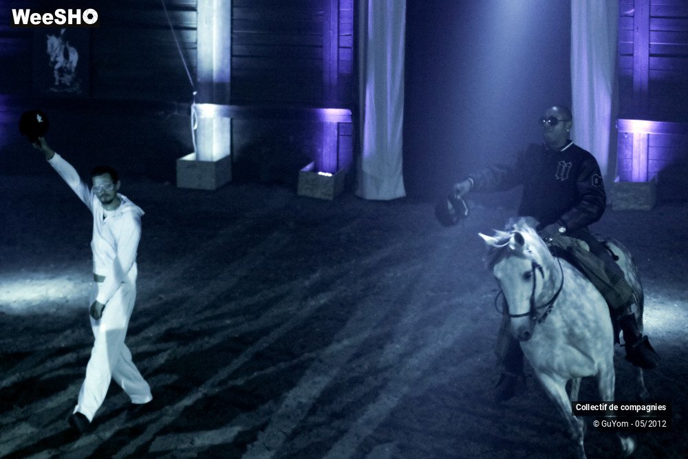 16/44 photos du spectacle Spectacle Equestre 2 Confirmés