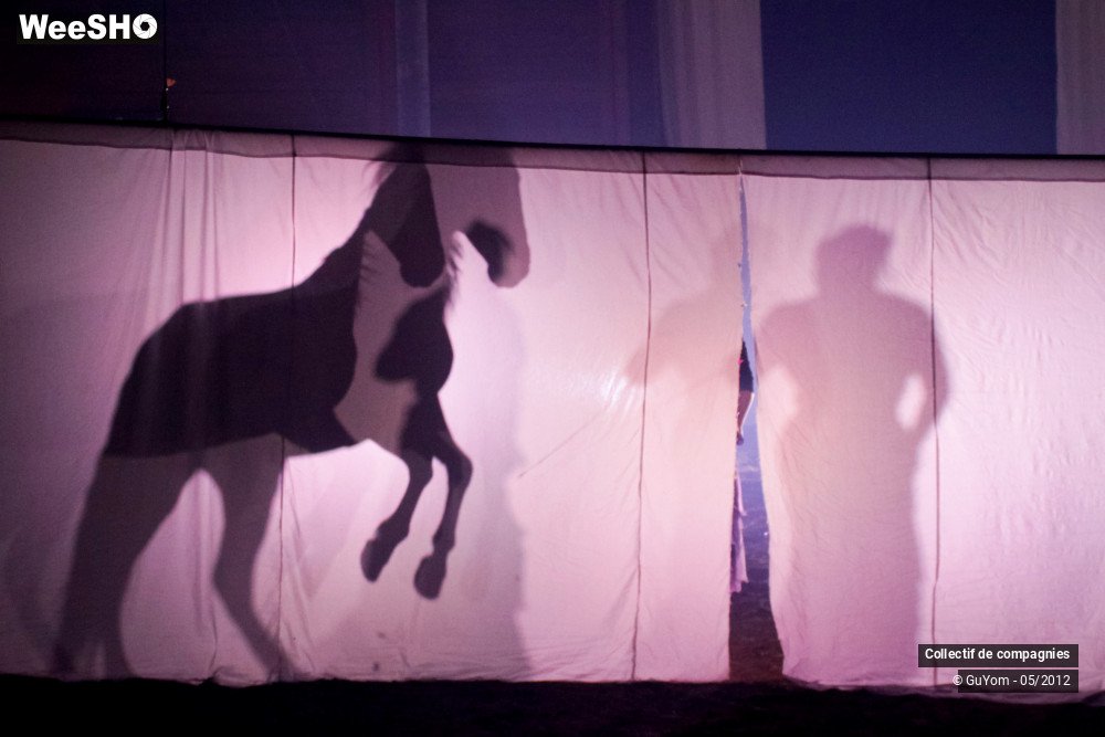 19/44 photos du spectacle Spectacle Equestre 2 Confirmés