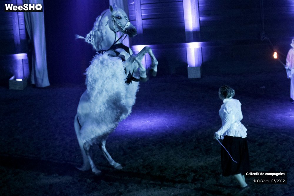 20/44 photos du spectacle Spectacle Equestre 2 Confirmés