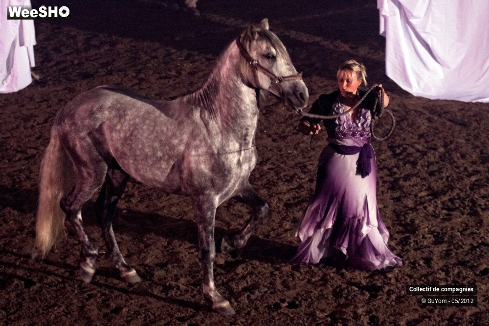 22/44 photos du spectacle Spectacle Equestre 2 Confirmés