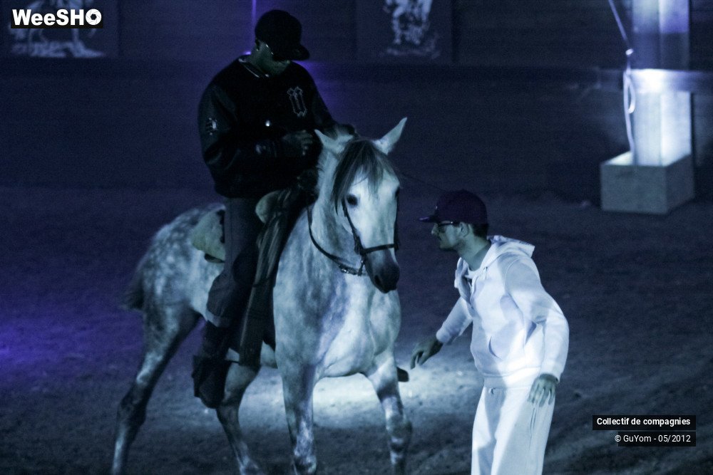 25/44 photos du spectacle Spectacle Equestre 2 Confirmés