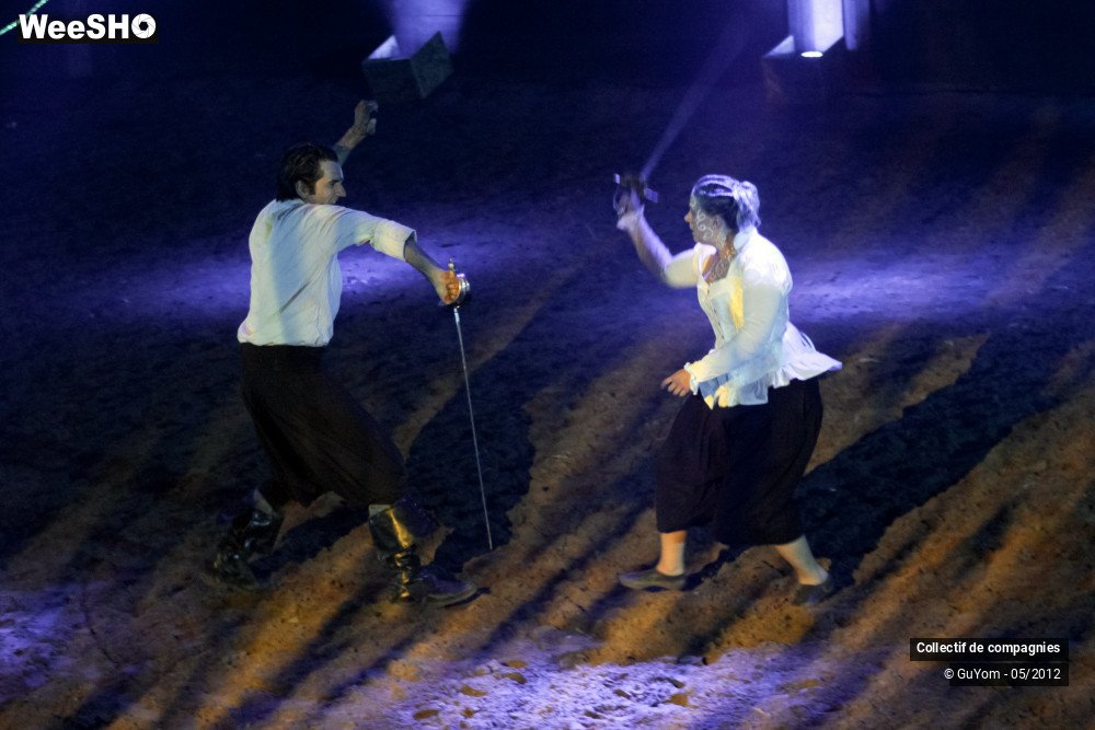 26/44 photos du spectacle Spectacle Equestre 2 Confirmés