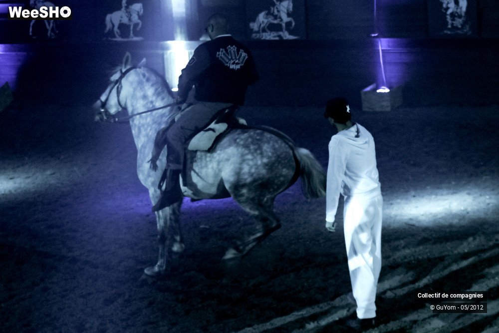 28/44 photos du spectacle Spectacle Equestre 2 Confirmés