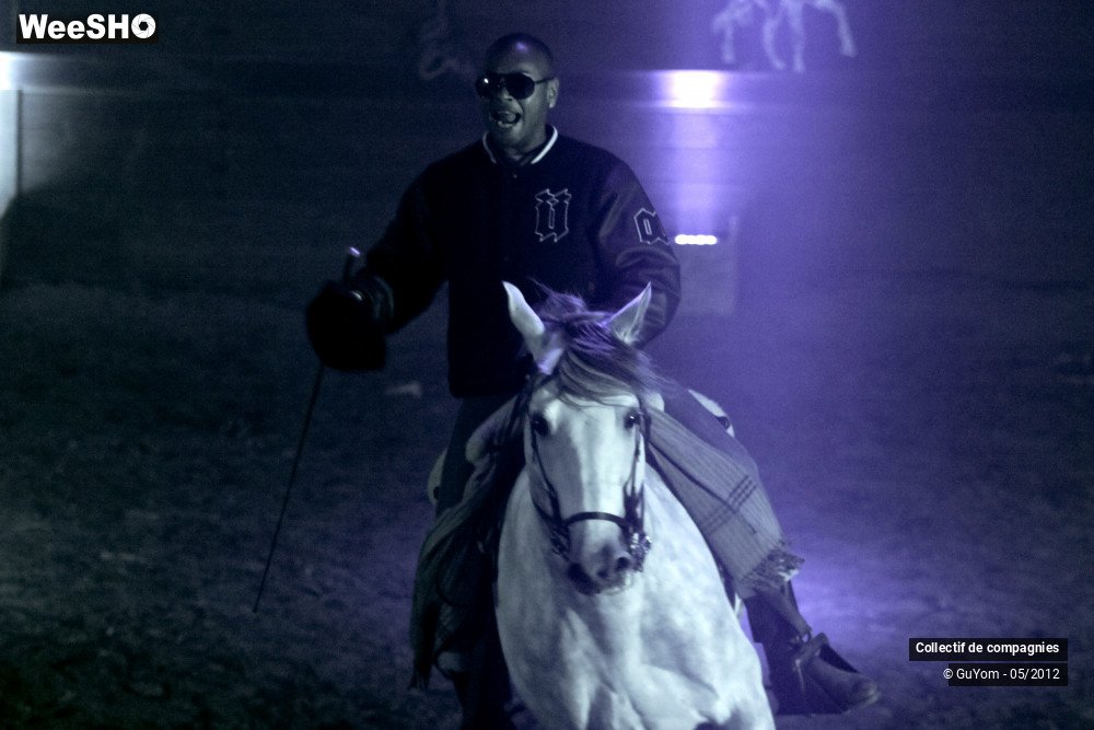 30/44 photos du spectacle Spectacle Equestre 2 Confirmés