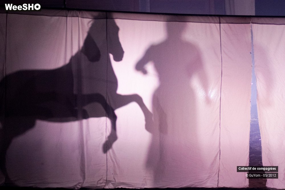 31/44 photos du spectacle Spectacle Equestre 2 Confirmés