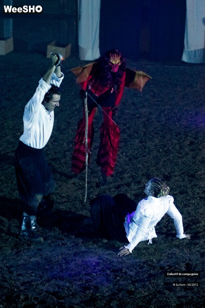 33/44 photos du spectacle Spectacle Equestre 2 Confirmés