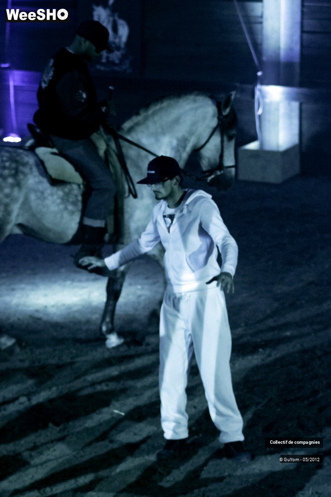 39/44 photos du spectacle Spectacle Equestre 2 Confirmés