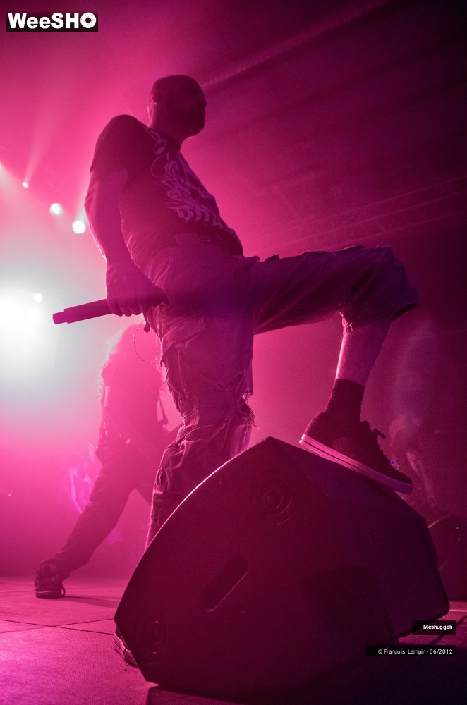 17/33 photos du spectacle Meshuggah