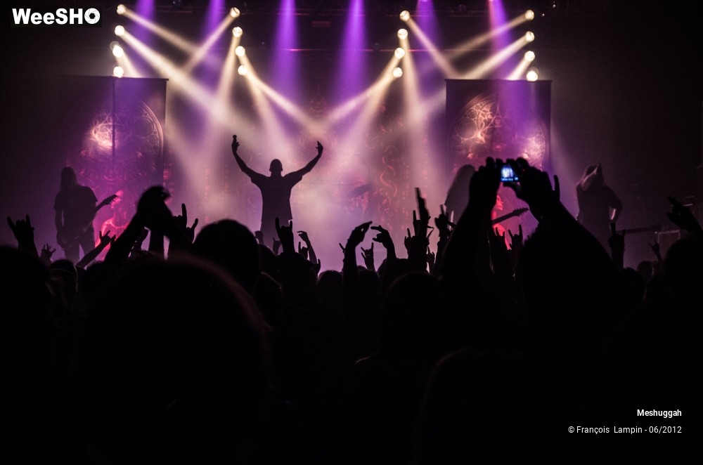 27/33 photos du spectacle Meshuggah