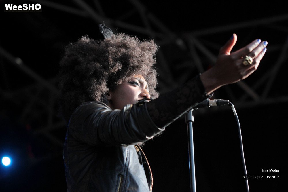 5/50 photos du spectacle Inna Modja