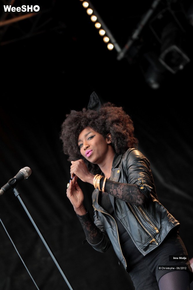 33/50 photos du spectacle Inna Modja