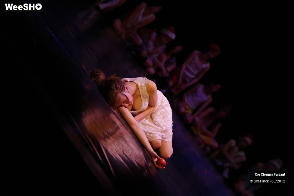 17/31 photos du spectacle Blanche neige et les dix nains