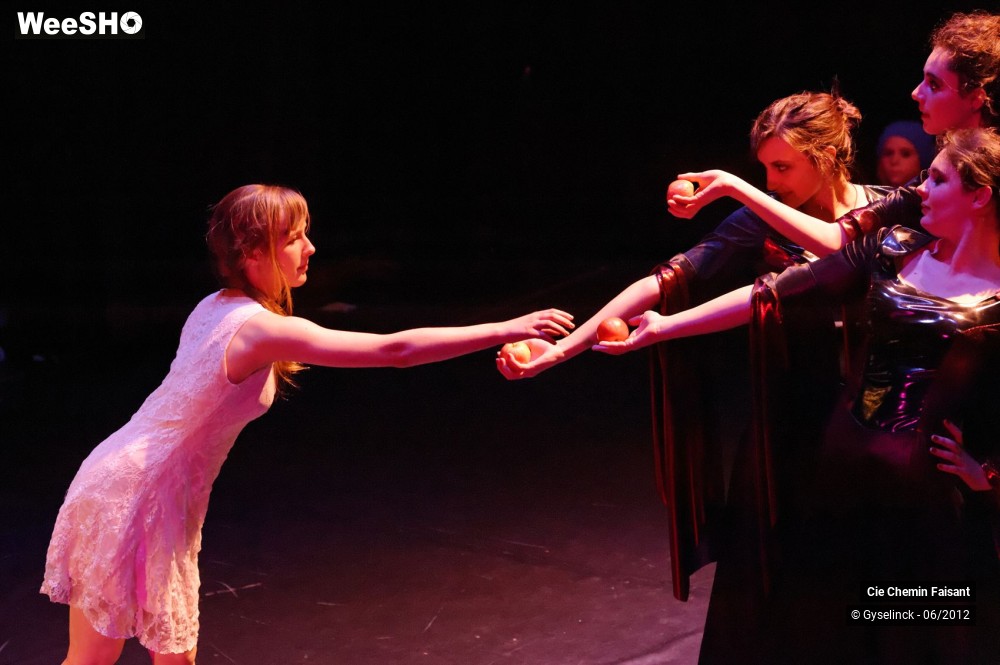 25/31 photos du spectacle Blanche neige et les dix nains