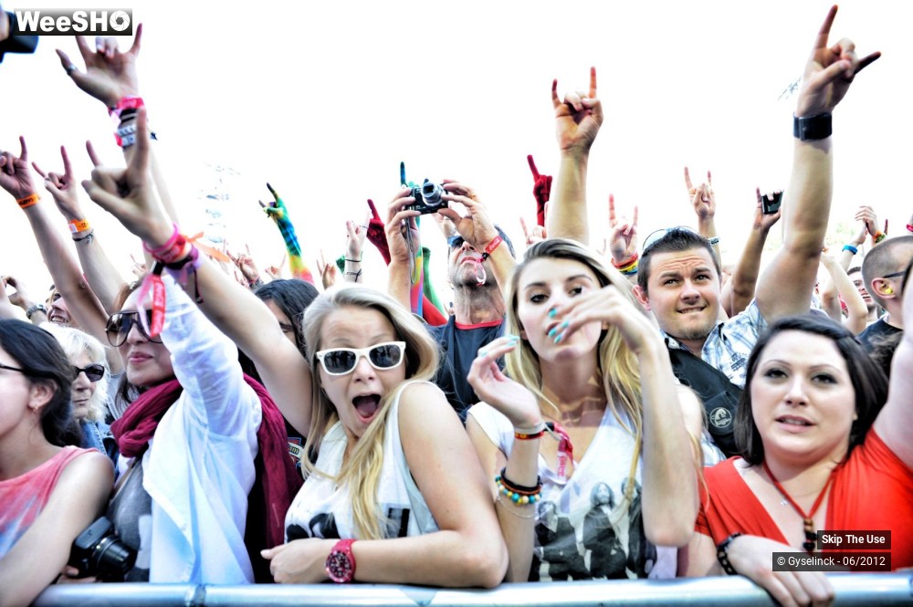 7/38 photos du spectacle Skip The Use