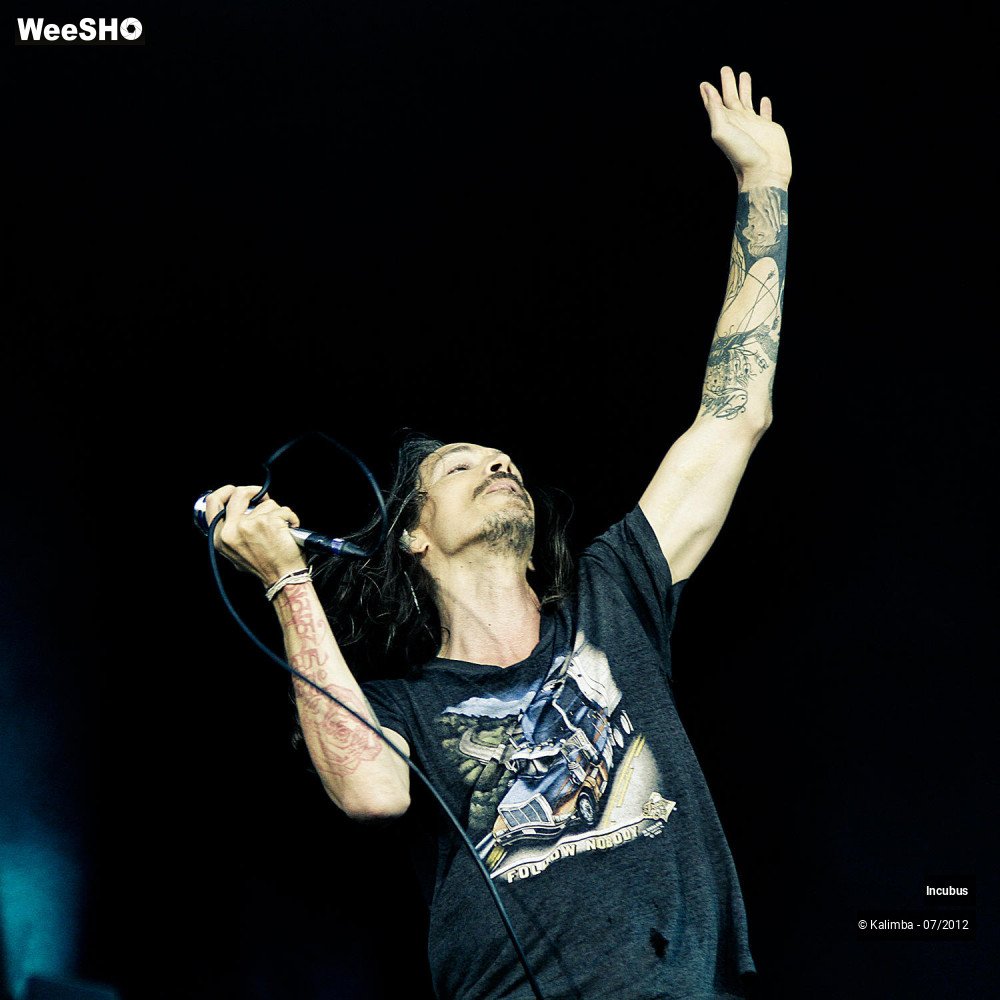 17/28 photos du spectacle Incubus